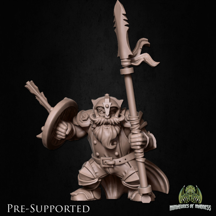 3D Printable Balindur Sharpeyed PRE SUPPORTED Dwarf Fighter By