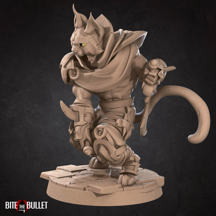 D Printable Tabaxi Rogue By Bite The Bullet