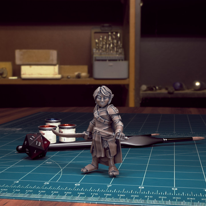 3D Printable DnD Heroes Gnome Fighter Female Pre Supported By