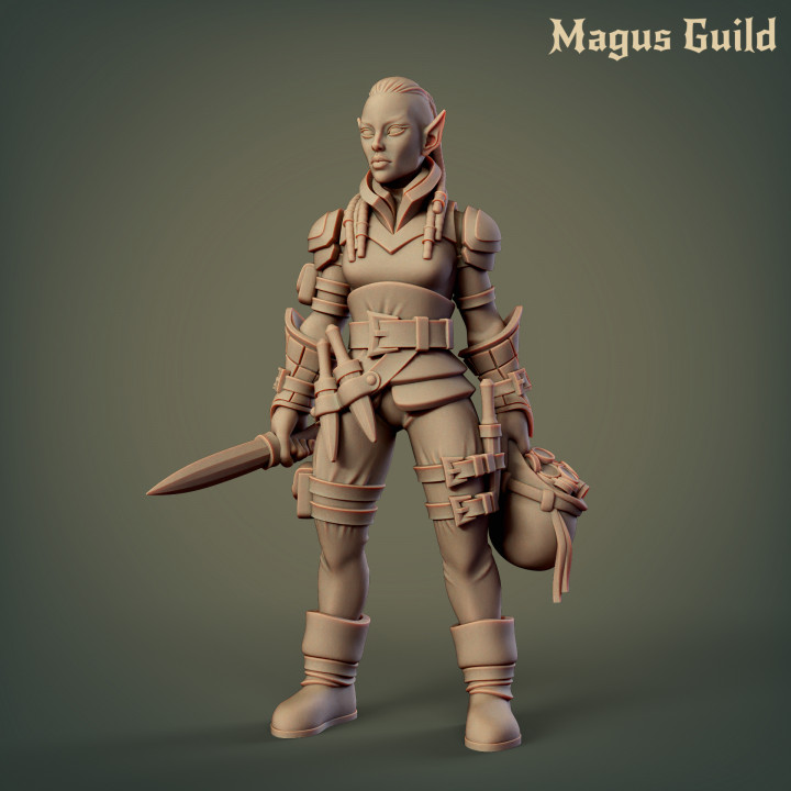 3D Printable Female Elf Rogue MG3 1 By Magus Guild