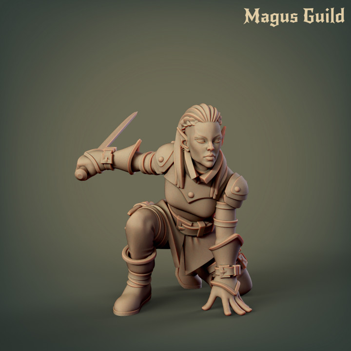 3D Printable Elf Rogue Female MG3 3 By Magus Guild