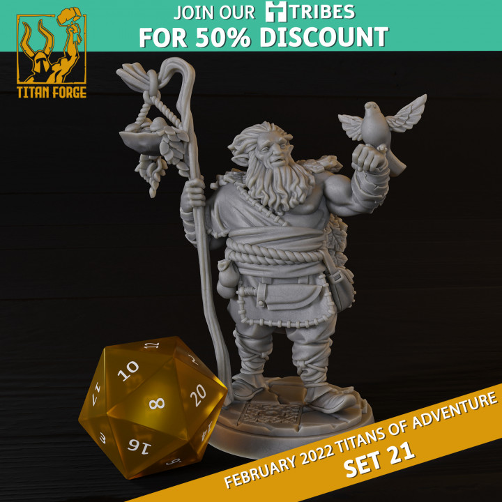 3D Printable Half Giant Male Druid RPG Hero Character D D 5e Titans