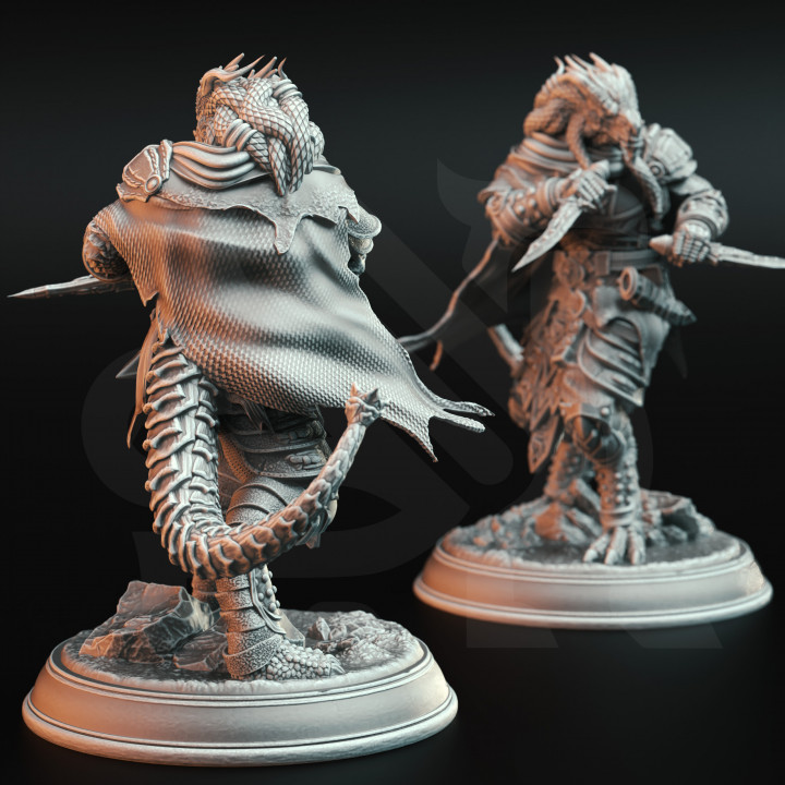 3D Printable Dragonborn Assassin Rogue Umbrascale By DM Stash