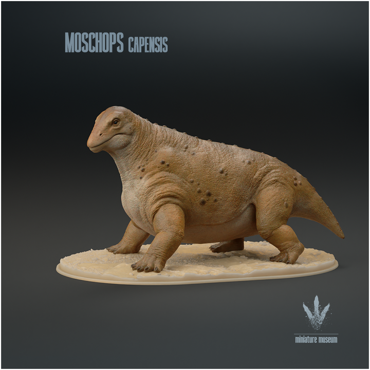 3D Printable Moschops Capensis The Calf Face By Miniature Museum