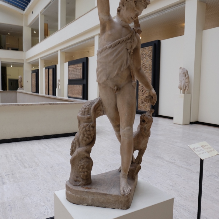 Satyr with Panther at The Cinquantenaire Museum in Brussels, Belgium image