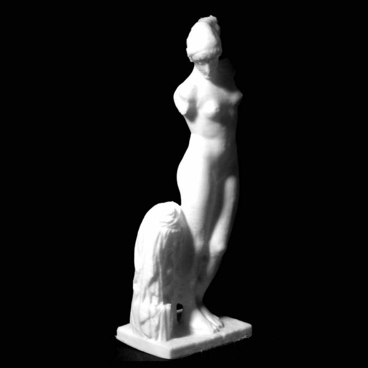 The Esquiline Venus at The Royal Cast Collection, Copenhagen image