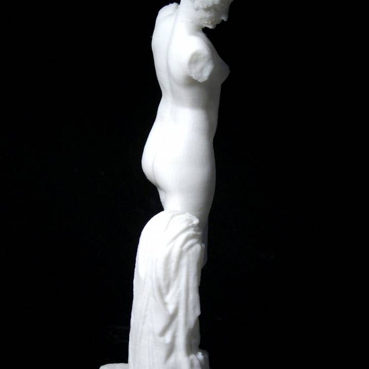 The Esquiline Venus at The Royal Cast Collection, Copenhagen image