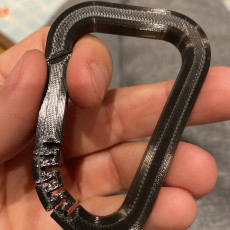 Picture of print of Carabiner