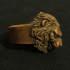 Lion Ring for comp print image