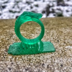 Picture of print of Crocodile Ring