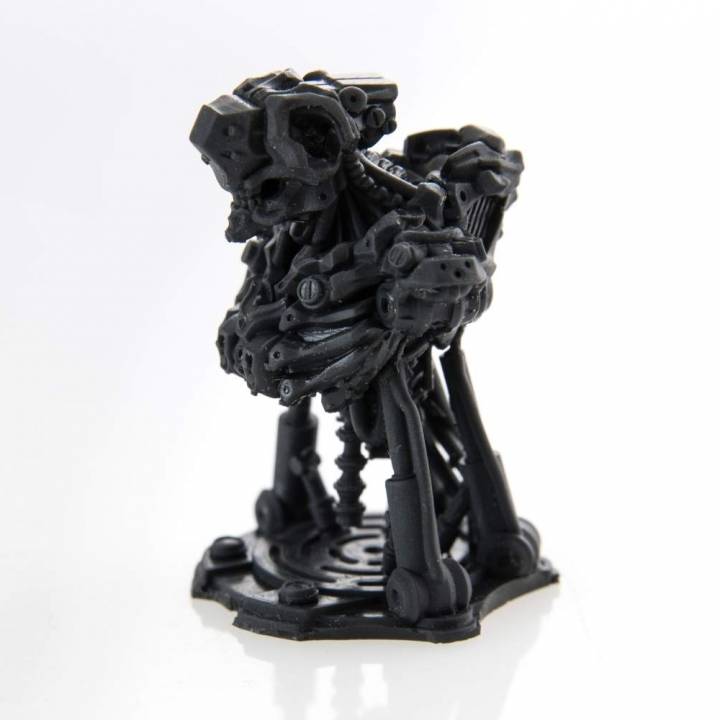 Reaper Bust image