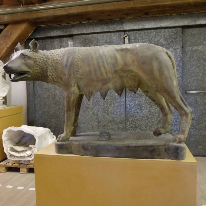 The Capitoline wolf image