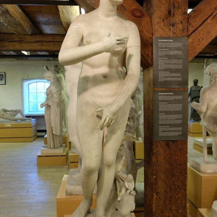 Venus Medici image