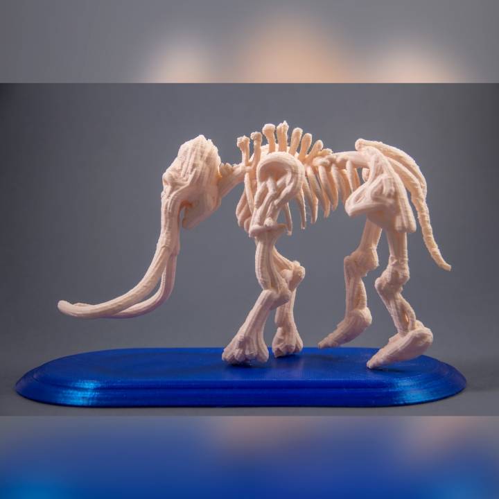 Mammoth Fossil // VR Sculpt image