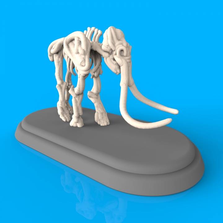Mammoth Fossil // VR Sculpt image
