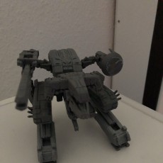 Picture of print of Metal Gear REX