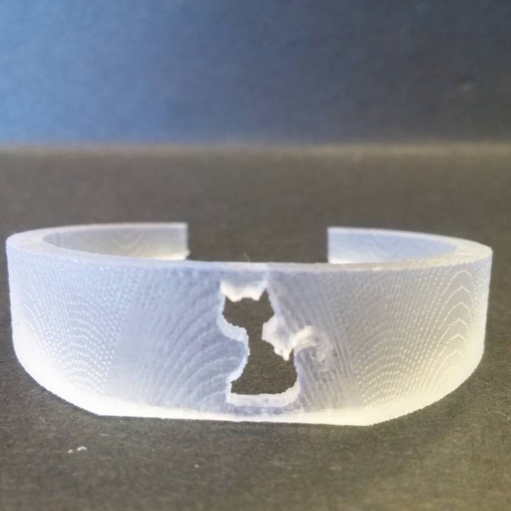 Cat bracelet image