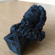 Picture of print of Game of Thrones - Jon Snow Bust