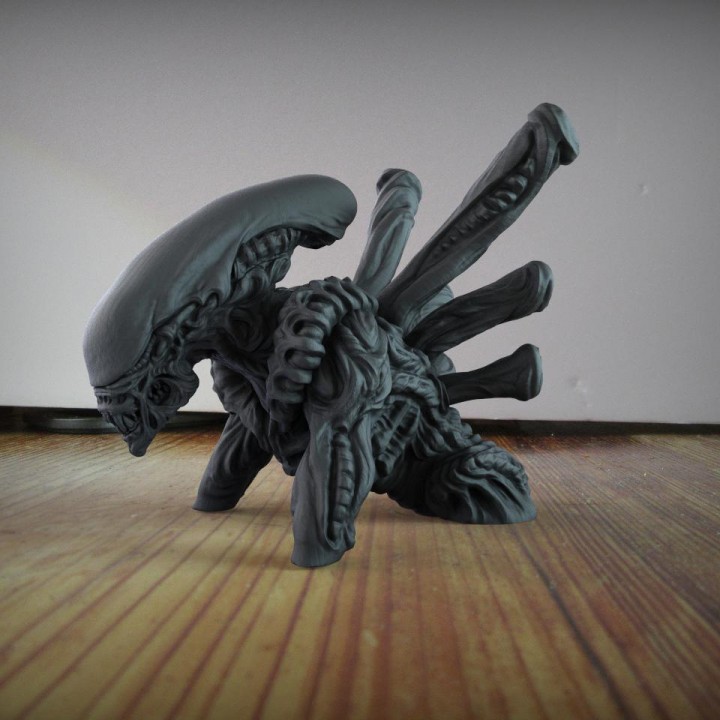 Alien - Xenomorph image