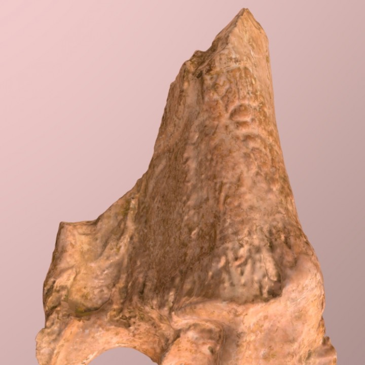 Ice Age Bison Radius/Ulna (VCU_3D_2863) image
