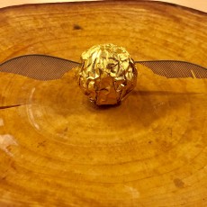Picture of print of Golden Snitch Wings (or Moth Antennae?)