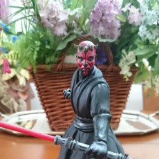 Picture of print of Star Wars - Darth Maul - full character