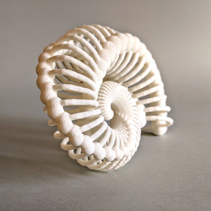 Bone Nautilus image