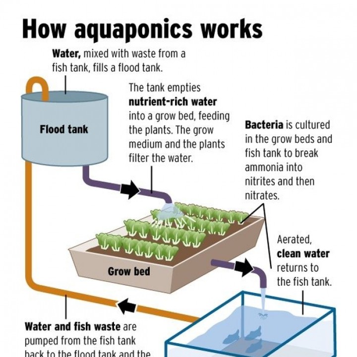 3D Printable Modular Aquaponics Setup by Printed Obsession