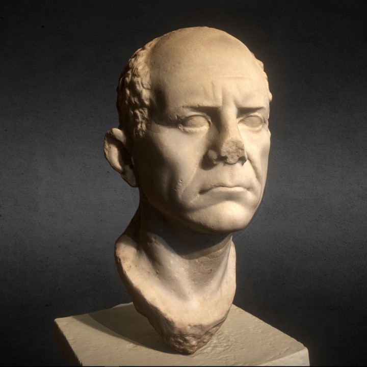 Portrait of a Roman civil servant image