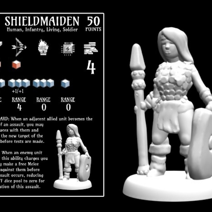 Shieldmaiden (18mm scale) image