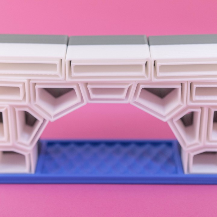 3D Printable Arch Builder Puzzle Blocks by Devin Enrique Büchele de Montes