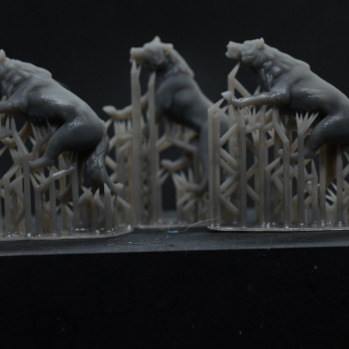 Wolf Pack - 3 models - PRESUPPORTED - 32mm scale image