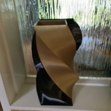 Picture of print of Dual Twist Vase