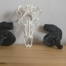 Picture of print of Wire Skull // Ram