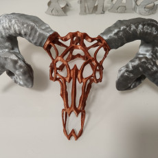 Picture of print of Wire Skull // Ram