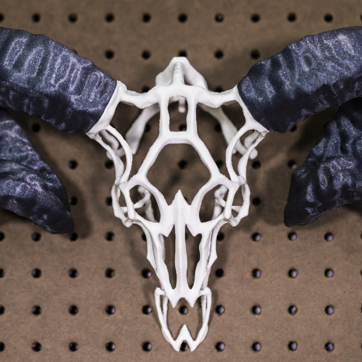Wire Skull // Ram