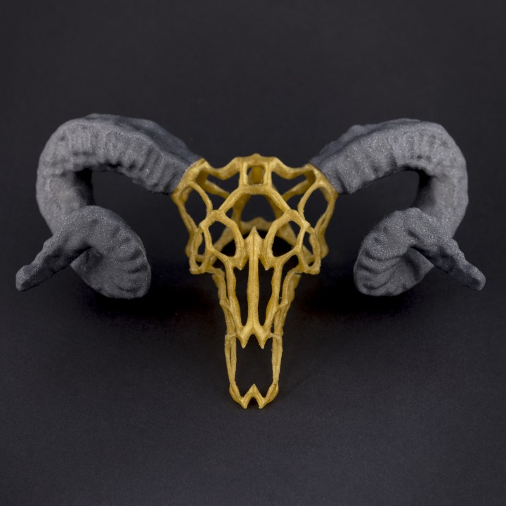 Wire Skull // Ram image