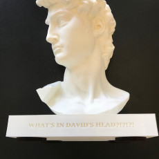 Picture of print of What's in David's Mind?