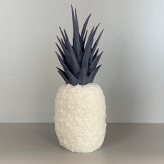 Picture of print of Pineapple Springo (Half Size)
