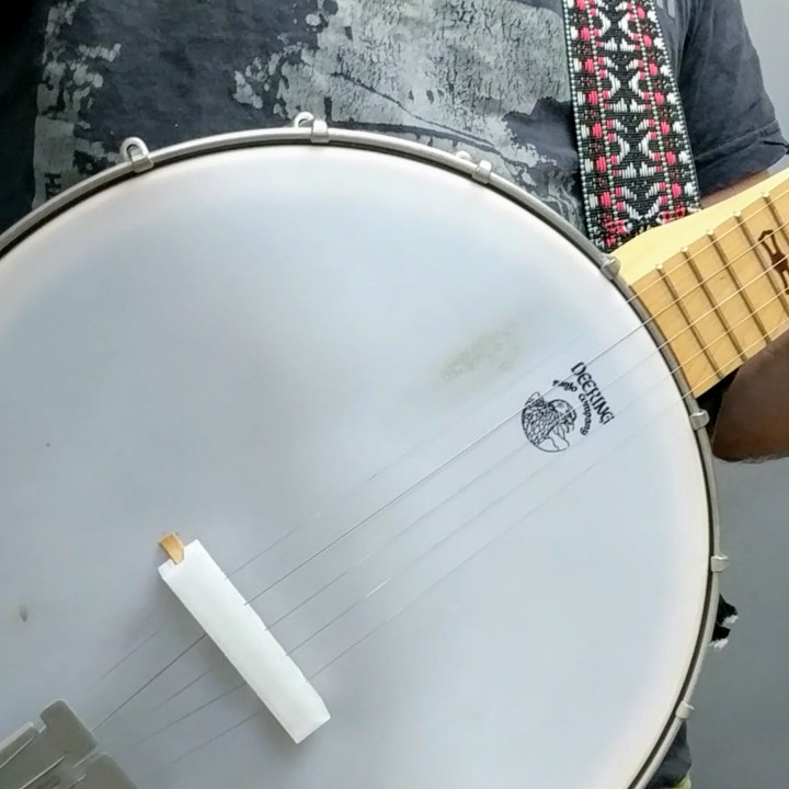 Banjo Mute image