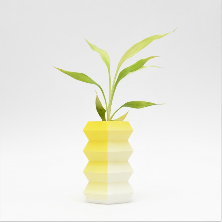 Accordion Vase image