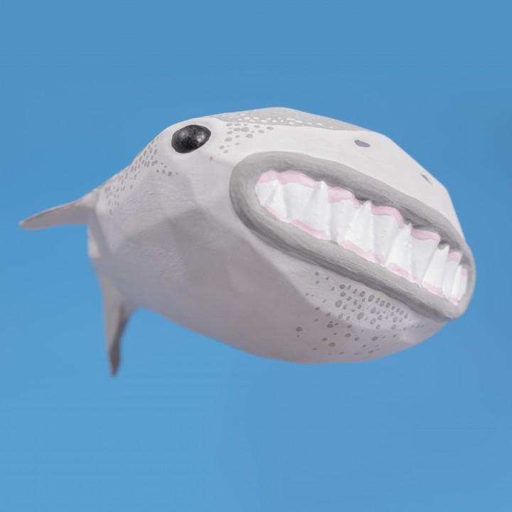 Great Wide Shark // Rejected Animals image
