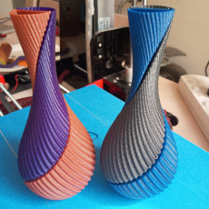 Picture of print of Spiral Twin Vase