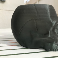 Picture of print of Grim Skull Vase