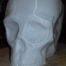 Picture of print of Grim Skull Vase