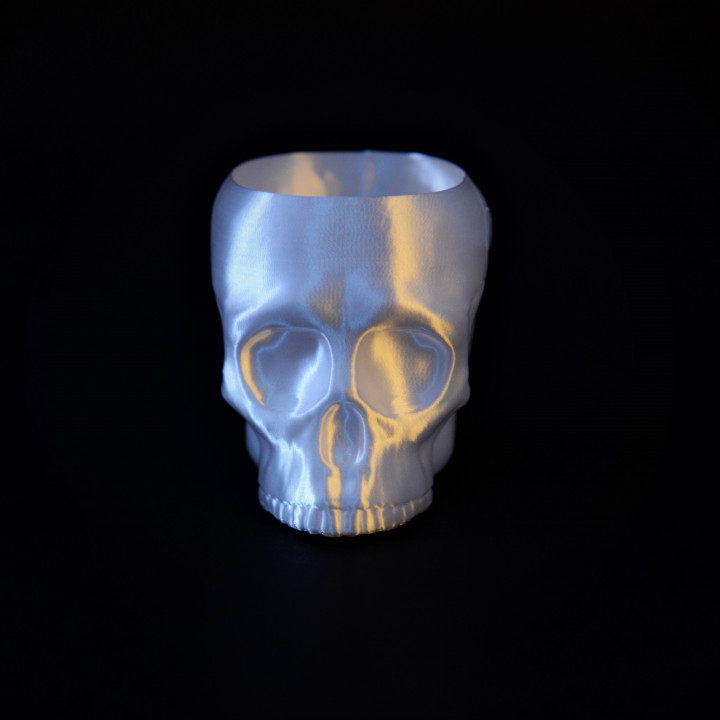 Grim Skull Vase image