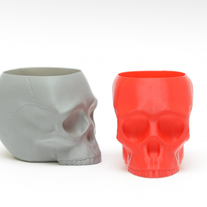 Grim Skull Vase image