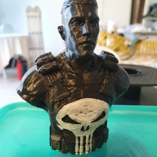 Picture of print of Punisher - Frank Castle / Support Free Bust
