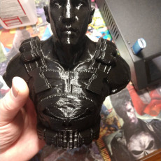 Picture of print of Punisher - Frank Castle / Support Free Bust