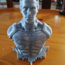 Picture of print of Christian Bale as Bruce Wayne / Batman (Support free bust)